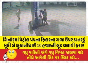 MailVadodara.com - Two-armed-robbers-put-a-sickle-on-the-throat-of-a-petrol-pump-filler-in-Shinor-and-ran-away-with-a-robbery-worth-10-thousand