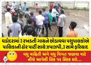 વડોદરામાં 3 રખડતી ગાયને છોડાવવા પશુપાલકોએ પાલિકાની ઢોર પાર્ટી સાથે ઝપાઝપી,3 સામે ફરિયાદ