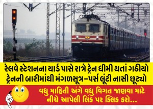 MailVadodara.com - As-the-train-slowed-down-near-the-railway-station-yard-at-night-Gathio-escaped-by-looting-the-mangalsutra-purse-from-the-window-of-the-train