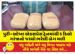 પુરી-ઓખા એક્સપ્રેસ ટ્રેનમાંથી 6 કિલો ગાંજાનો જથ્થો ભરેલી બેગ મળી