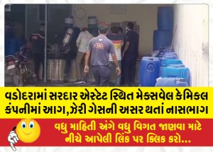 MailVadodara.com - Fire-at-Maxwell-Chemical-Company-located-in-Sardar-Estate-in-Vadodara-stampede-due-to-poisonous-gas