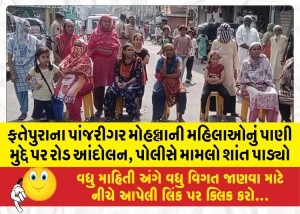 ફતેપુરાના પાંજરીગર મોહલ્લાની મહિલાઓનું પાણી મુદ્દે પર રોડ આંદોલન, પોલીસે મામલો શાંત પાડ્યો