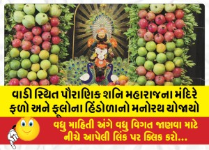 વાડી સ્થિત પૌરાણિક શનિ મહારાજના મંદિરે ફળો અને ફૂલોના હિંડોળાનો મનોરથ યોજાયો