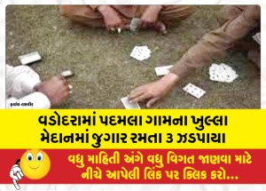 MailVadodara.com - 3-caught-gambling-in-the-open-field-of-Padmala-village-in-Vadodara