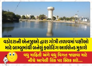 વડોદરાની એનજીઓ દ્વારા ગોત્રી તળાવમાં પક્ષીઓ માટે બામ્બુમાંથી બનેલું ફ્લોટિંગ આઇલેન્ડ મુકાશે