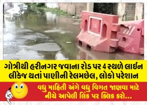 MailVadodara.com - Due-to-line-leakage-at-4-places-on-the-road-from-Gotri-to-Harinagar-people-are-disturbed