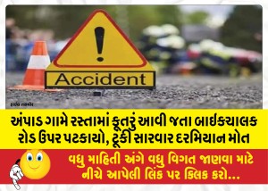 MailVadodara.com - Bike-rider-fell-on-the-road-when-a-dog-came-on-the-road-in-Ampad-village-died-during-short-treatment