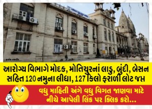 MailVadodara.com - Health-department-took-120-samples-including-Ladu-Bundi-Besan-from-Modak-Motichur-seized-127-kg-of-stray-flour