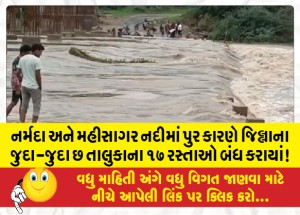 MailVadodara.com - 17-roads-in-six-different-talukas-of-the-district-were-closed-due-to-floods-in-Narmada-and-Mahisagar-rivers