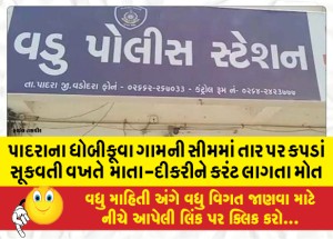 પાદરાના ધોબીકૂવા ગામની સીમમાં તાર પર કપડાં સૂકવતી વખતે  માતા-દીકરીને કરંટ લાગતા મોત