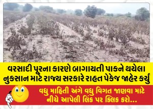 MailVadodara.com - The-state-government-announced-a-relief-package-for-the-damage-caused-to-horticultural-crops-due-to-rain-floods