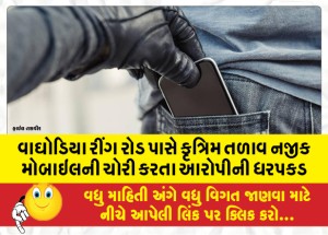 વાઘોડિયા રીંગ રોડ પાસે કૃત્રિમ તળાવ નજીક મોબાઇલની ચોરી કરતા આરોપીની ધરપકડ