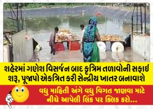 MailVadodara.com - After-Ganesh-immersion-in-the-city-cleaning-of-artificial-ponds-will-be-started-poojapo-will-be-collected-and-organic-compost-will-be-made