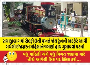 MailVadodara.com - Injured-woman-lost-right-arm-after-being-hit-by-joy-train-while-taking-selfie-in-Sayajibagh