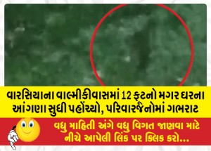 MailVadodara.com - 12-foot-crocodile-reaches-homes-courtyard-in-Varsias-Valmikiwas-panic-among-families