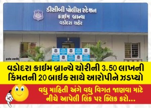 વડોદરા ક્રાઇમ બ્રાન્ચે ચોરીની 3.50 લાખની કિમતની 20 બાઇક સાથે આરોપીને ઝડપ્યો