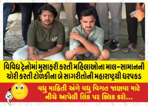 MailVadodara.com - Two-gang-members-arrested-from-Maharashtra-for-stealing-belongings-of-women-traveling-in-various-trains