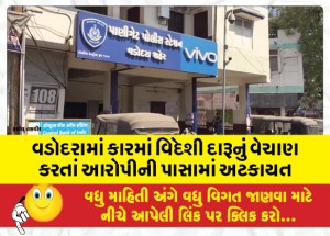 વડોદરામાં કારમાં વિદેશી દારૂનું વેચાણ કરતાં આરોપીની પાસામાં અટકાયત