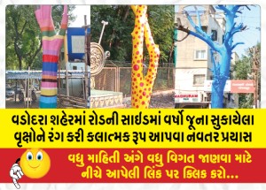 MailVadodara.com - In-Vadodara-city-a-new-attempt-is-made-to-give-an-artistic-look-to-the-old-dry-trees-by-painting-them-on-the-road-side