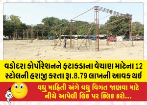 વડોદરા કોર્પોરેશનને ફટાકડાના વેચાણ માટેના 12 સ્ટોલની હરાજી કરતા રૂા.8.79 લાખની આવક થઇ