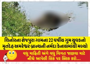 MailVadodara.com - Body-of-22-year-old-missing-youth-from-Sejpura-village-of-Shinor-found-in-Narmada-Canal-of-Amreswar-branch