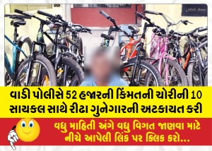 MailVadodara.com - Wadi-police-arrested-a-habitual-criminal-with-10-stolen-bicycles-worth-Rs-52-000