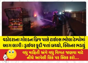 MailVadodara.com - Tile-laden-tempo-catches-fire-near-Vadodaras-Golden-Bridge-Driver-jumps-out-to-escape-cleaner-dies