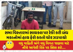 MailVadodara.com - In-the-same-area-a-thief-was-caught-rummaging-through-locked-houses-on-a-bicycle