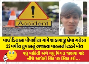 MailVadodara.com - A-22-year-old-youth-who-had-gone-to-buy-vegetables-at-Piplia-village-in-Waghodia-died-after-being-hit-by-an-unknown-vehicle