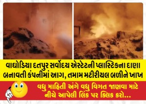 MailVadodara.com - Fire-in-Waghodia-Datpur-Sarvodaya-Estate-plastic-granule-company-all-material-burnt