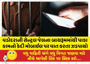 MailVadodara.com - A-seasoned-convict-was-caught-talking-on-a-mobile-from-the-bathroom-of-the-Central-Jail-in-Vadodara