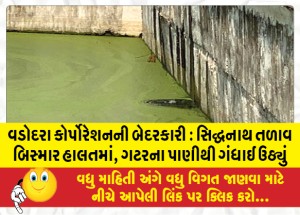 વડોદરા કોર્પોરેશનની બેદરકારી : સિદ્ધનાથ તળાવ બિસ્માર હાલતમાં, ગટરના પાણીથી ગંધાઈ ઉઠ્યું