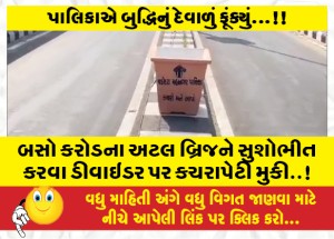 MailVadodara.com - Buses-placed-garbage-bags-on-the-divider-to-beautify-the-Atal-Bridge-of-Crore