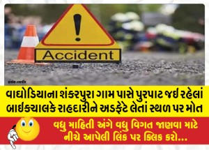 MailVadodara.com - Bike-rider-on-his-way-to-Purpat-near-Shankarpura-village-in-Waghodia-hit-a-pedestrian-and-died-on-the-spot