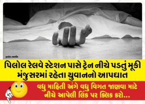 MailVadodara.com - A-young-man-living-in-Manjuser-committed-suicide-by-falling-under-a-train-near-Pilol-railway-station