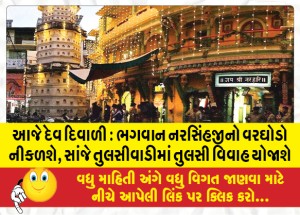 MailVadodara.com - Today-is-Dev-Diwali-Lord-Narasimhajis-groom-will-come-out-Tulsi-wedding-will-be-held-in-Tulsiwadi-in-the-evening