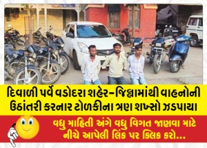 દિવાળી પર્વે વડોદરા શહેર-જિલ્લામાંથી વાહનોની ઉઠાંતરી કરનાર ટોળકીના ત્રણ શખ્સો ઝડપાયા