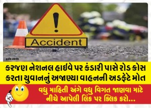 MailVadodara.com - A-young-man-died-after-being-hit-by-an-unknown-vehicle-while-crossing-the-road-near-Kandari-on-the-Karajan-National-Highway