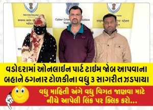 વડોદરામાં ઓનલાઇન પાર્ટ ટાઇમ જાેબ આપવાના બહાને ઠગનાર ટોળકીના વધુ ૩ સાગરીત ઝડપાયા