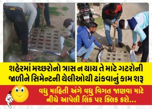 શહેરમાં મચ્છરોનો ત્રાસ ન થાય તે માટે ગટરોની જાળીને સિમેન્ટની થેલીઓથી ઢાંકવાનું કામ શરૂ