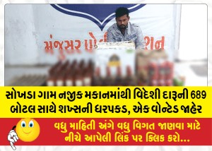 MailVadodara.com - A-wanted-man-was-arrested-with-689-bottles-of-foreign-liquor-from-a-house-near-Sokhda-village