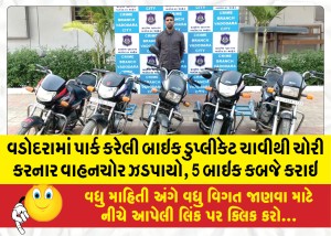 MailVadodara.com - Thief-who-stole-parked-bike-with-duplicate-key-caught-in-Vadodara-5-bikes-seized