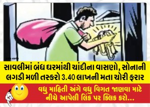 સાવલીમાં બંધ ઘરમાંથી ચાંદીના વાસણો, સોનાની લગડી મળી તસ્કરો 3.40 લાખની મતા ચોરી ફરાર