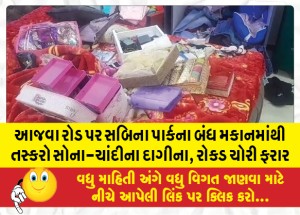 MailVadodara.com - Smugglers-stole-gold-and-silver-jewellery-cash-from-the-closed-house-of-Sabina-Park-on-Ajwa-Road