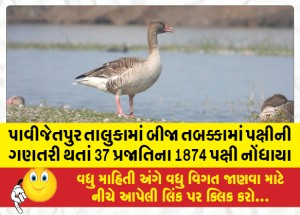 પાવીજેતપુર તાલુકામાં બીજા તબક્કામાં પક્ષીની ગણતરી થતાં 37 પ્રજાતિના 1874 પક્ષી નોંધાયા