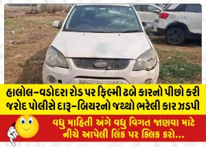 MailVadodara.com - On-Halol-Vadodara-road-Jarod-police-caught-a-car-full-of-liquor-and-beer-in-a-car-chase