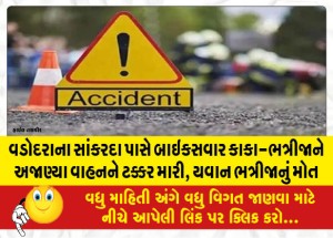 વડોદરાના સાંકરદા પાસે બાઇકસવાર કાકા-ભત્રીજાને અજાણ્યા વાહનને ટક્કર મારી, યવાન ભત્રીજાનું મોત