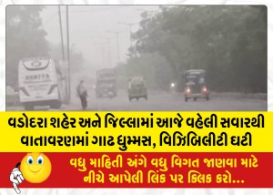 MailVadodara.com - Dense-fog-in-Vadodara-city-and-district-from-early-morning-today-reduced-visibility