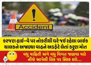 MailVadodara.com - A-bike-rider-on-his-way-home-from-work-on-the-Karajan-highway-was-hit-by-an-unknown-vehicle-and-tragically-died