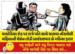 MailVadodara.com - Two-bike-riders-broke-the-chain-of-a-woman-who-was-walking-with-her-husband-at-night-on-Waghodia-Road-and-escaped